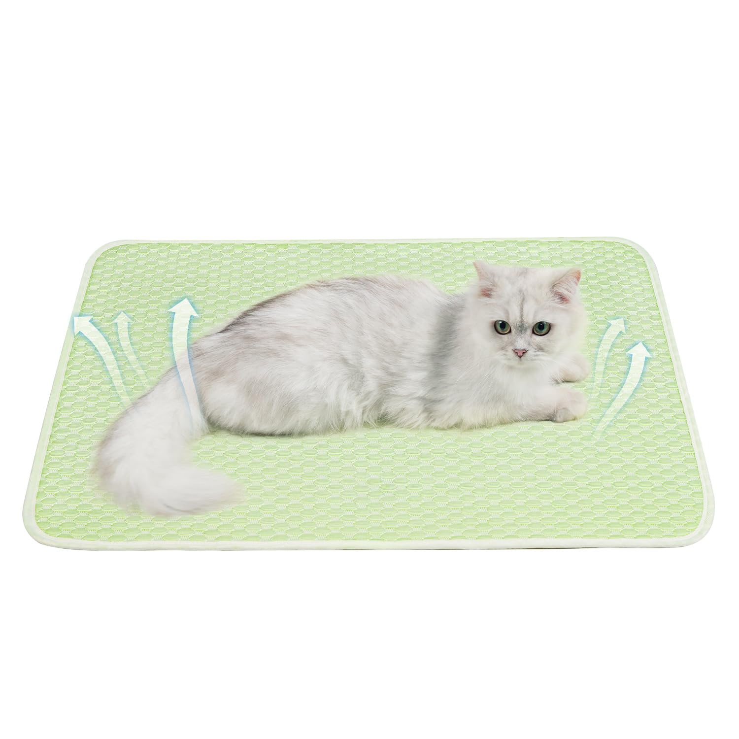Tapis rafraîchissant respirant pour chien