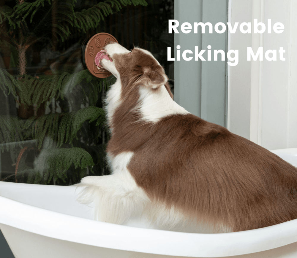 Schleckmatte für Hunde