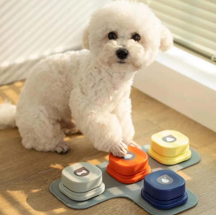 Pet Communication Button – Interactive Training Toy