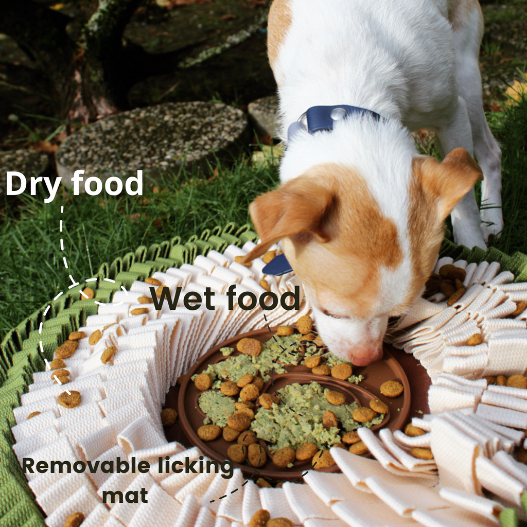 Schleckmatte für Hunde